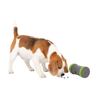 Juguete móvil dispensador de golosinas Kibble Chase™ de PetSafe®