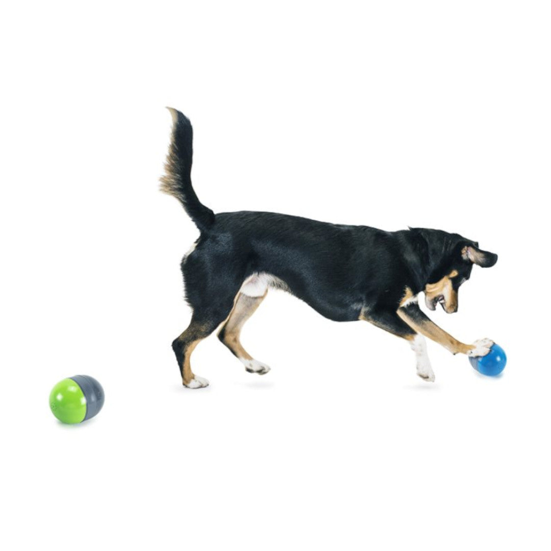 Juguetes interactivos para perros, juguete duradero para perros de tira y  afloja, juguete de agua pa brillar Electrónica