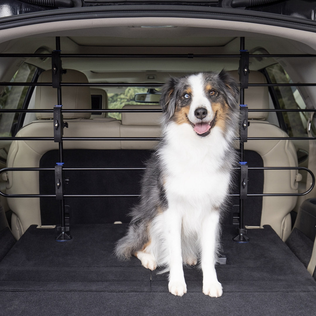 Separador metálico para perro y carga de coche
