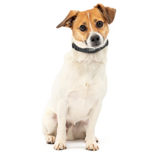 Cargar imagen en el visor de la galería, Collar NanoBark™ de PetSafe

