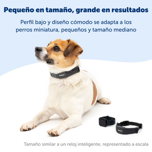 Collar NanoBark™ de PetSafe