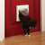 Puerta para gatos Staywell®, clásica, magnética, con cuatro posiciones de cierre