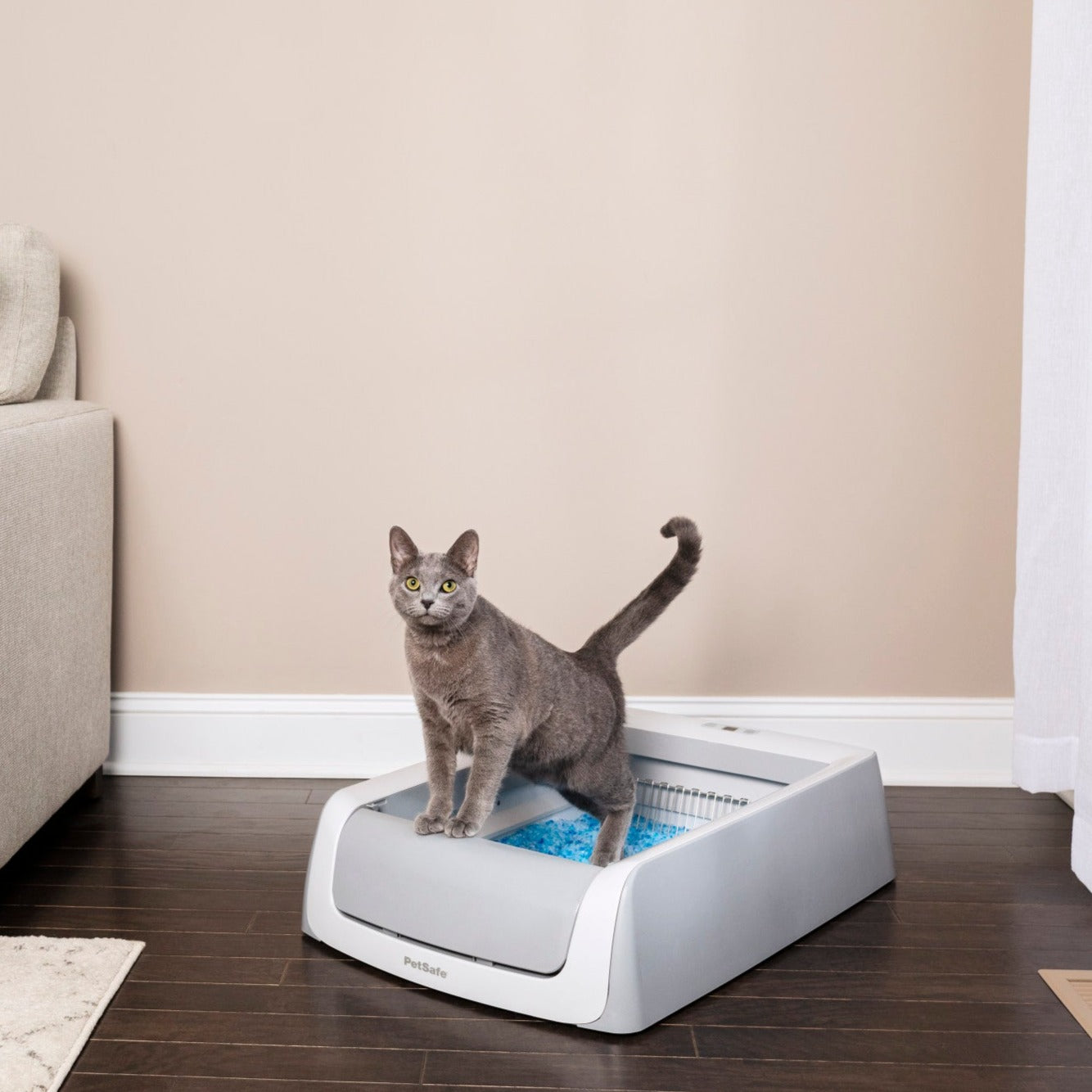 Arenero autolimpiable PetSafe® Simply Clean™ para gatos