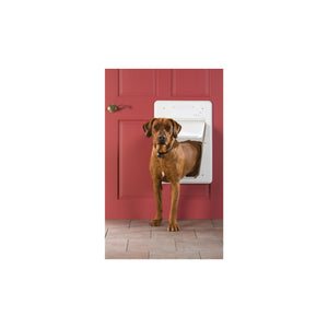 La puerta de seguridad para perros garantiza la seguridad de tu mascota -  Electropolis