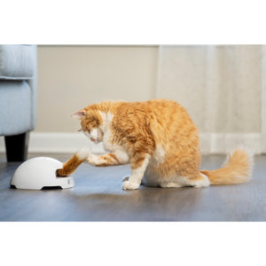 Juguete Madriguera de zorro juguete automático para gatos