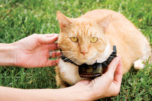 Cargar imagen en el visor de la galería, Collar receptor adicional para limitador de zona deluxe In-Ground Cat Fence™ con cable para gatos
