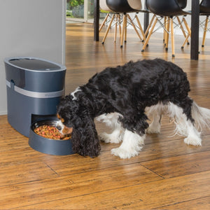 Alimentador de mascotas automático e inteligente Smart Feed