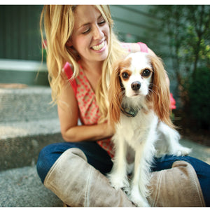 Collar receptor adicional Add-A-Dog® para perros pequeños